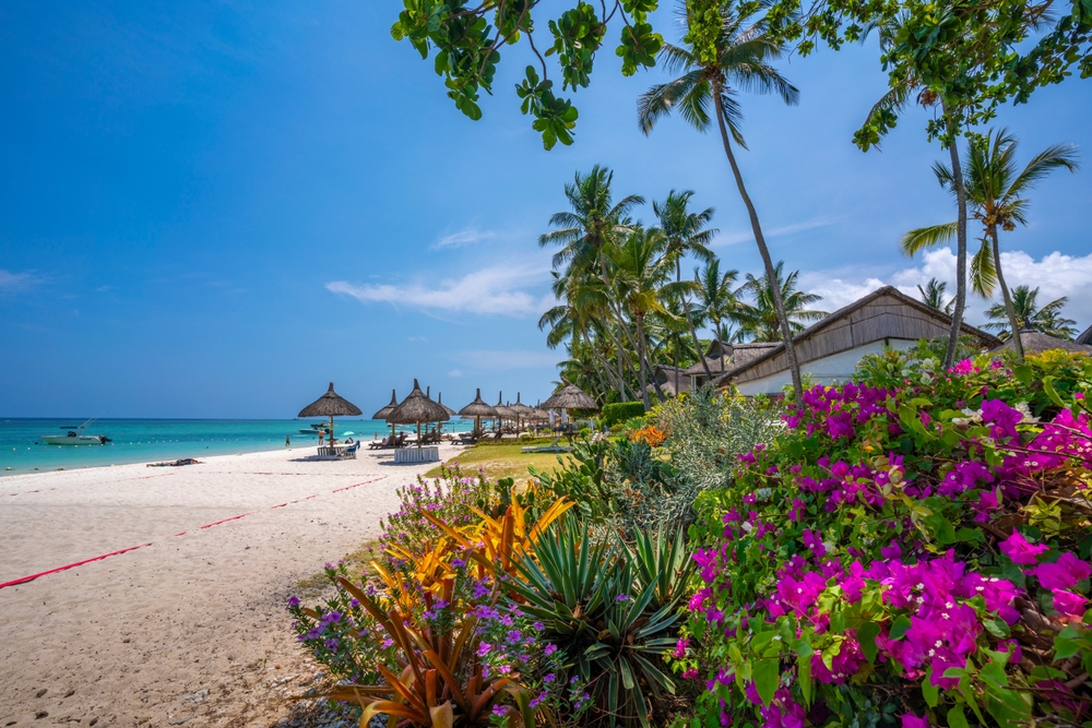 Smukke blomster ved Trou-aux-Biches-stranden