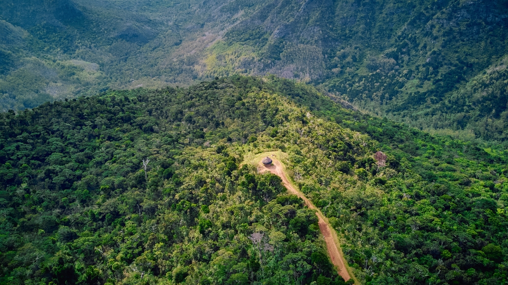 Luftfoto af Black River Gorges – den sidste store naturskov på Mauritius.