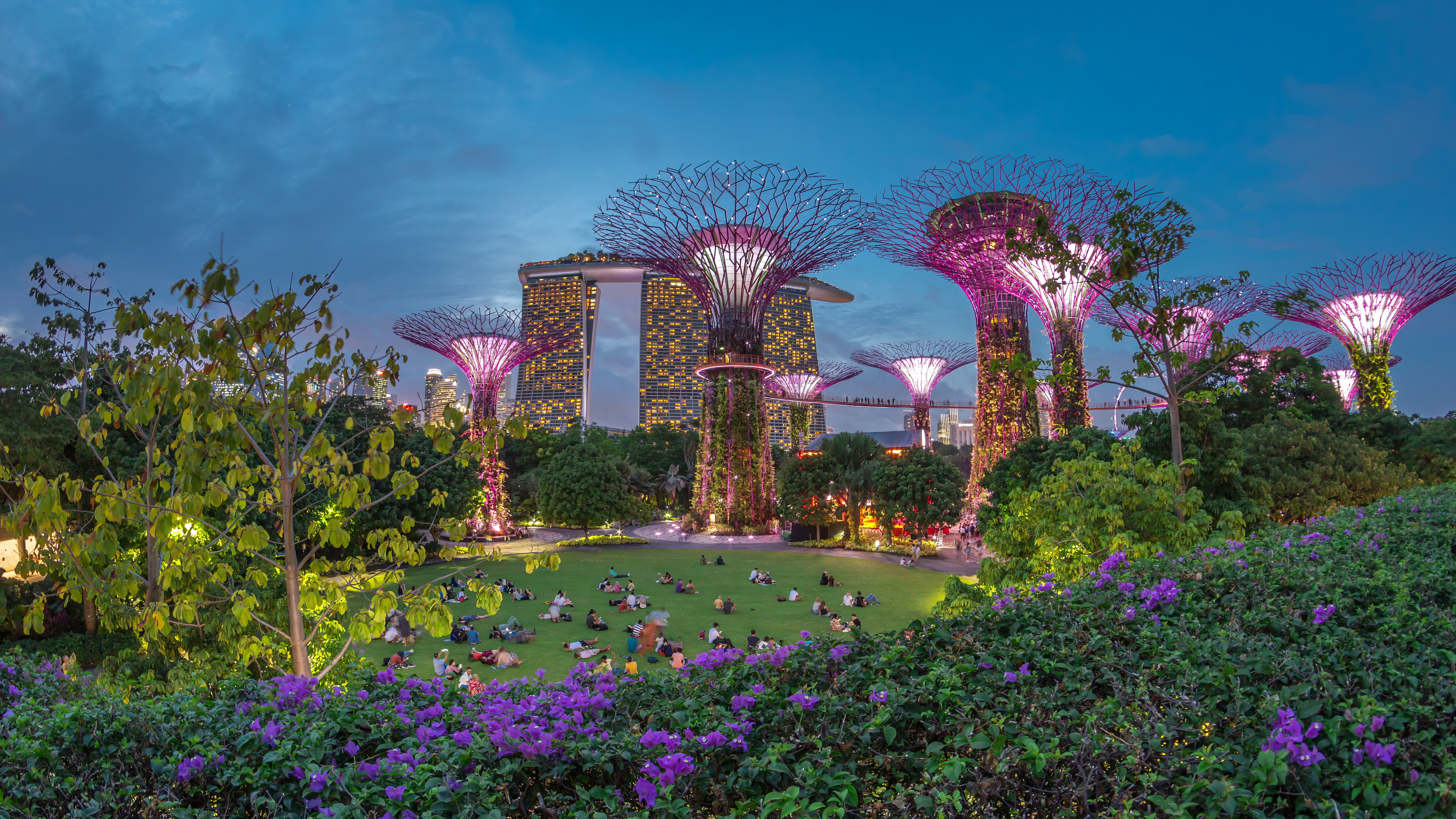 Supertree Grove lyser op i et spektakulært lysshow