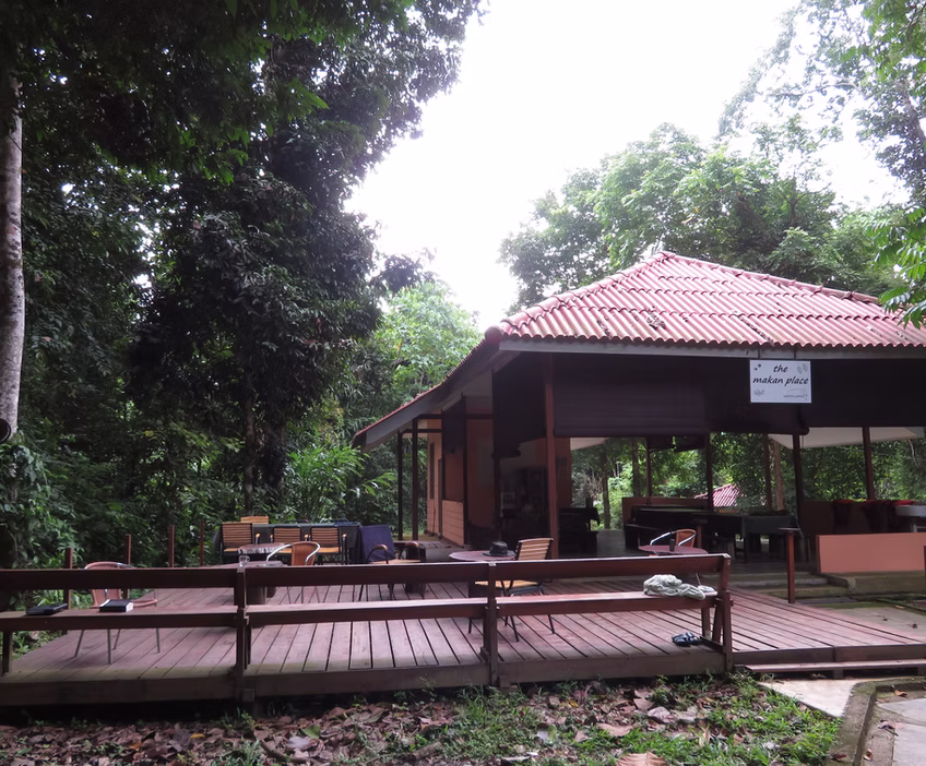 The Earth Lodge i Ulu Muda omgivet af regnskov i det nordlige Malaysia